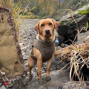 Meet your Posher, Cody